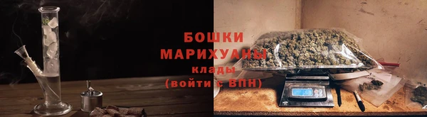 ешки Бронницы