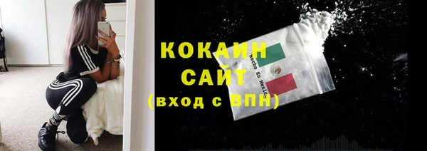 спайс Бородино