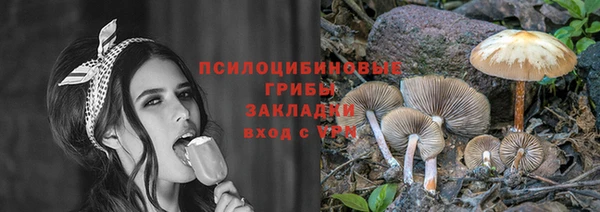 спайс Бородино