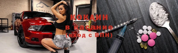 ешки Бронницы