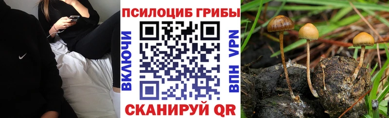 Галлюциногенные грибы MAGIC MUSHROOMS  блэк спрут ТОР  Ессентукская 
